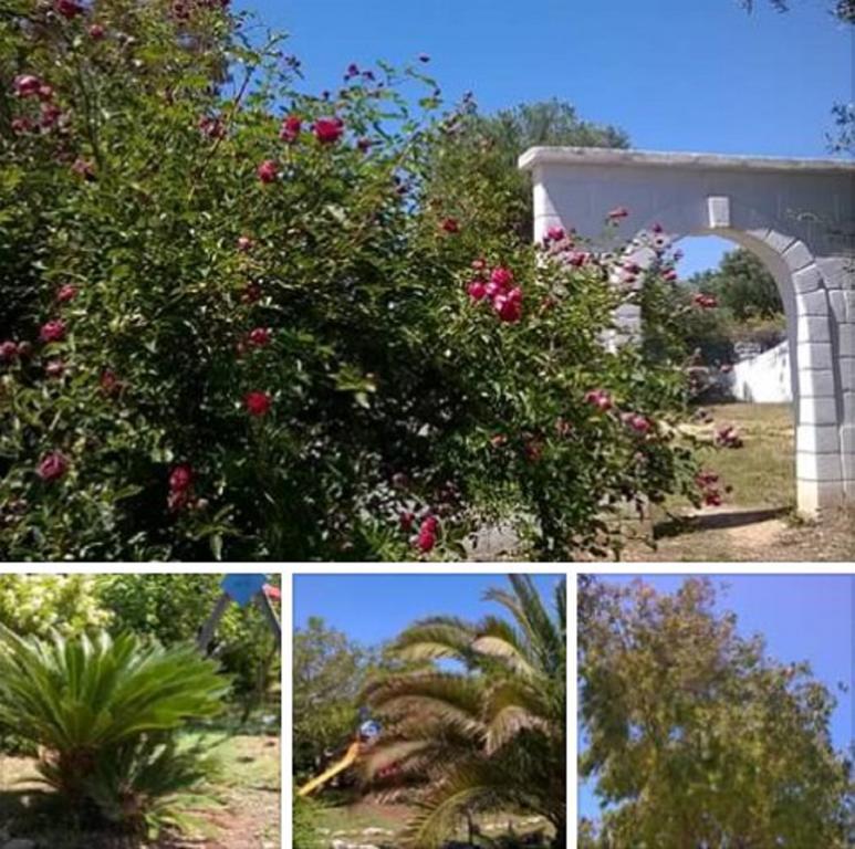 Trulli Aurasia Ostuni Exterior foto