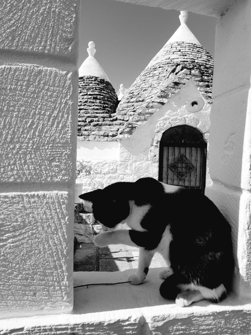 Trulli Aurasia Ostuni Exterior foto